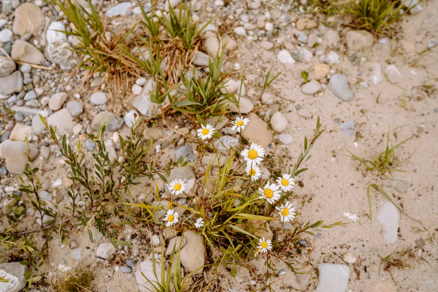 Familienfotografie Peißenberg mit natürlicher Atmosphäre