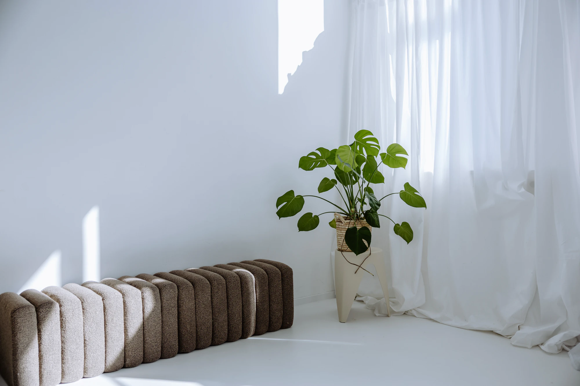 Fotostudio Peißenberg mit ruhiger Atmosphäre